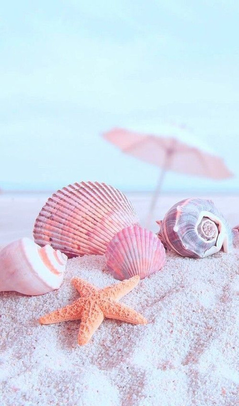 pinkbeachshells.jpg