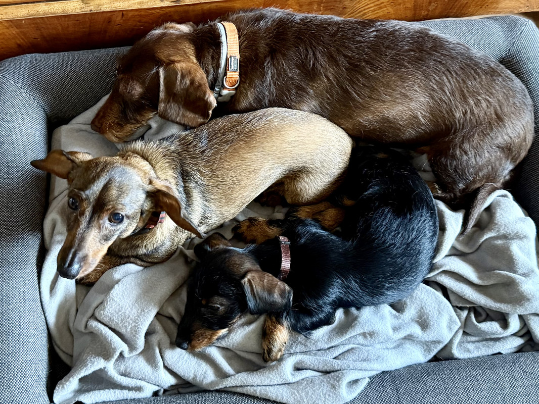 [Image: IMG-2259.jpg]