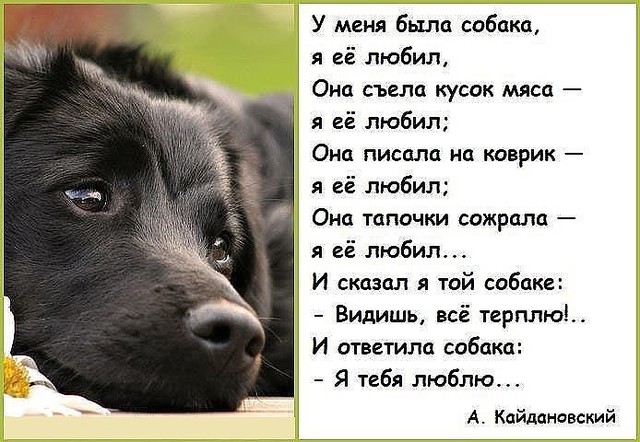 imageCAFKKRU2