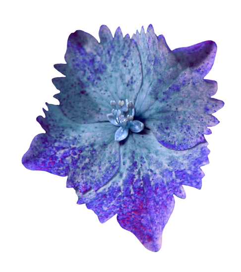 Magic Fairy Garden (47)