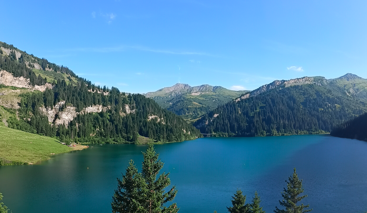 screenshot_243 (Large)