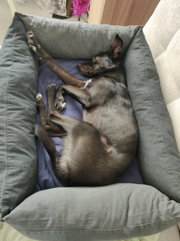 IMG-d838b000feff61d2495e8b8ef56bc6eb-V