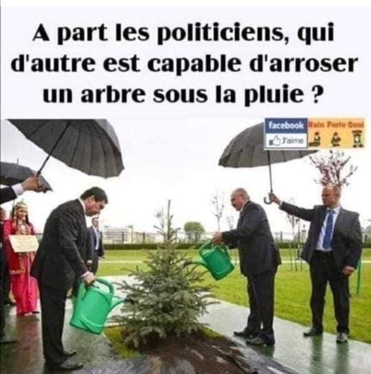 Humour divers - Page 16
