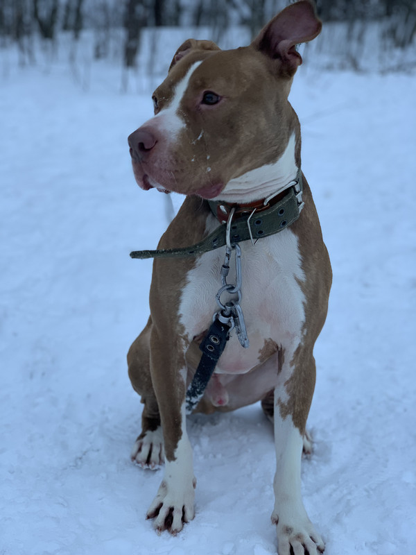 B94CB498-6086-41B4-83AC-4EC153CFE865