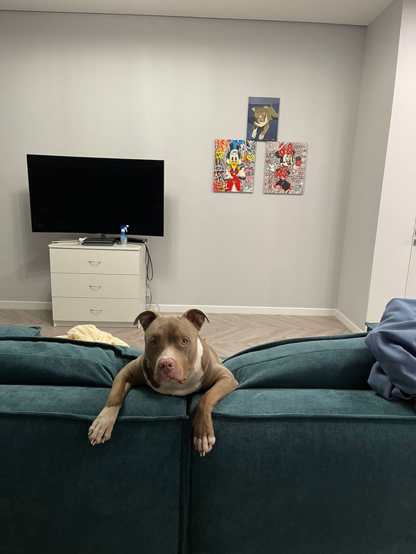 9EDC3C81-5B63-448A-AB80-D033D95BCE06