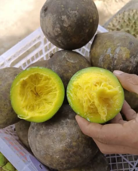 574021896 810735641809409 8284463445404300830 n