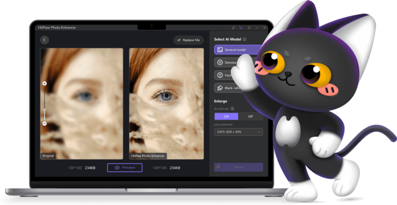 Hit-Paw-Photo-Enhancer-screen.png