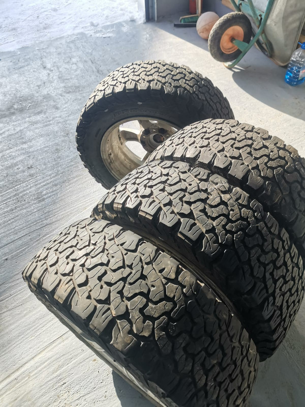 WhatsApp Image 2024-03-28 at 10.19.19 AM (2)