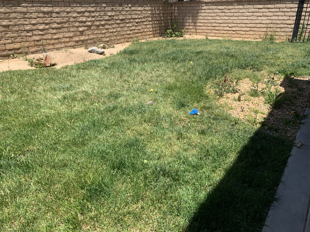 4-E6-FE0-C7-175-F-4-D4-F-8-D83-E1-F8-E15-A04-FD