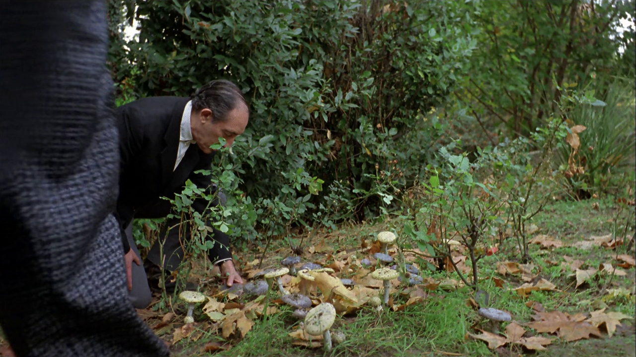 vlcsnap-2023-11-08-15h21m08s142