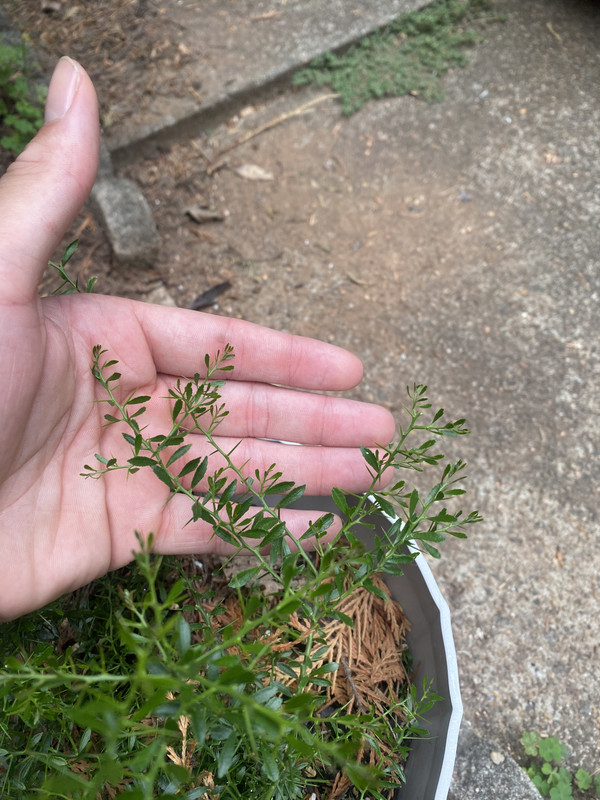 DE21C0C1-0E57-45A9-BA61-E9AA06CFD3F8