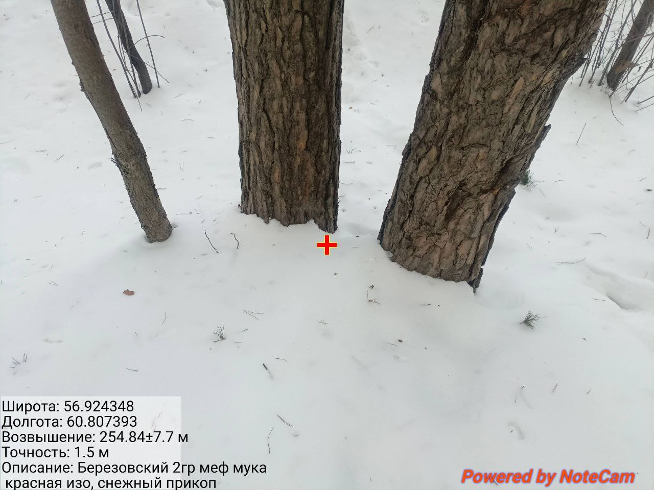 photo 1 2026 02 13 06 40 12