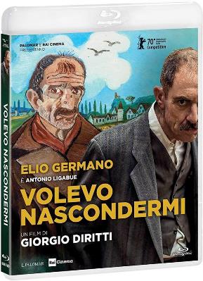 Volevo nascondermi (2020) HD 720p x264 DTS+AC3 AC3 ITA