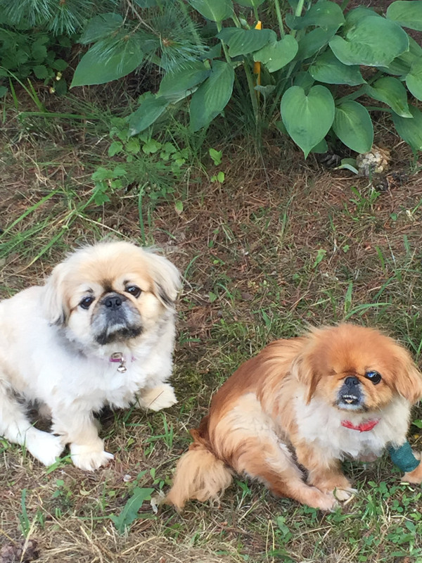 00EA3BD2-5285-4277-B742-0C6F91081B96