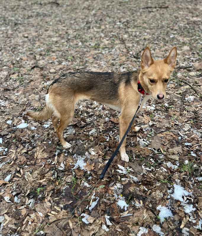 31D0414A-E81B-4A72-8DDC-215E8E9E0EA7