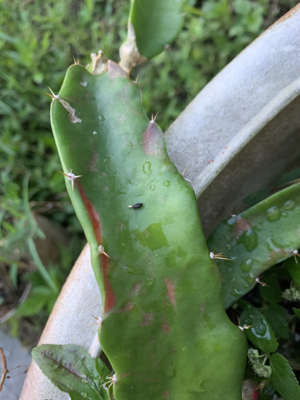 D2D1FC86-1FF4-4A9D-B318-9C03B54E07DA