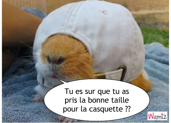 casquette-trop-grande-45234