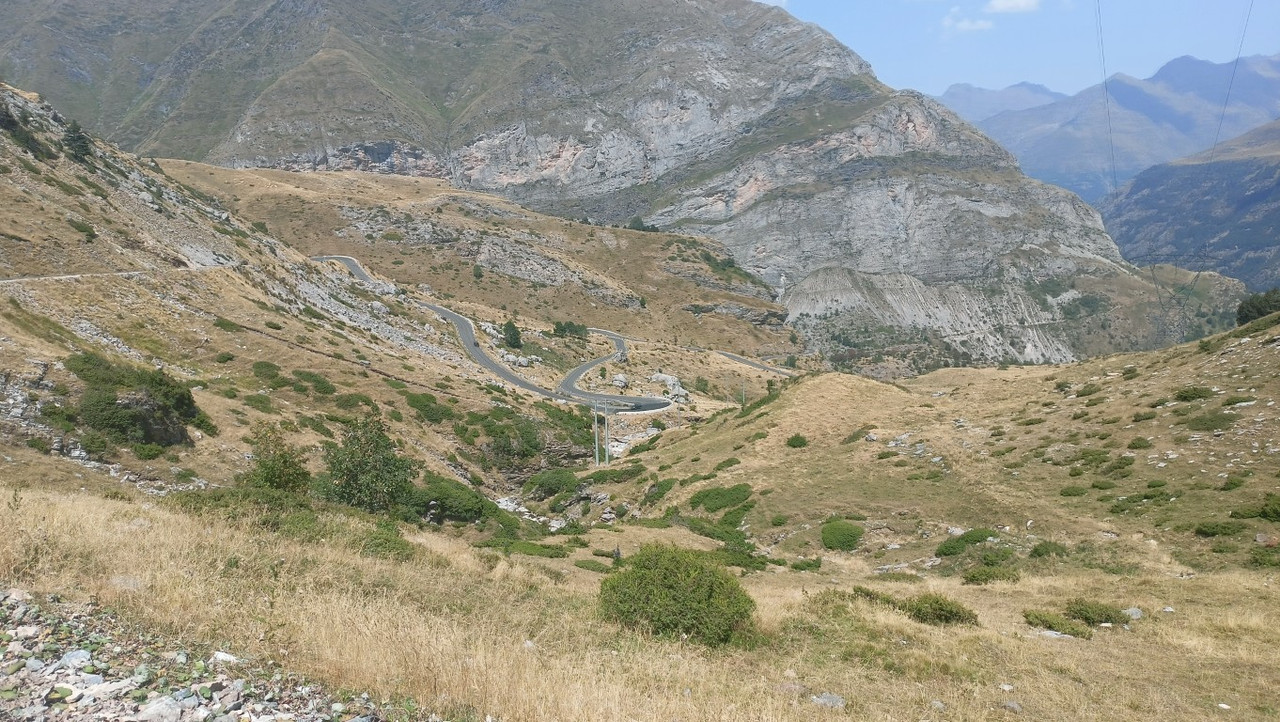 IMG20250811144614 (Medium)