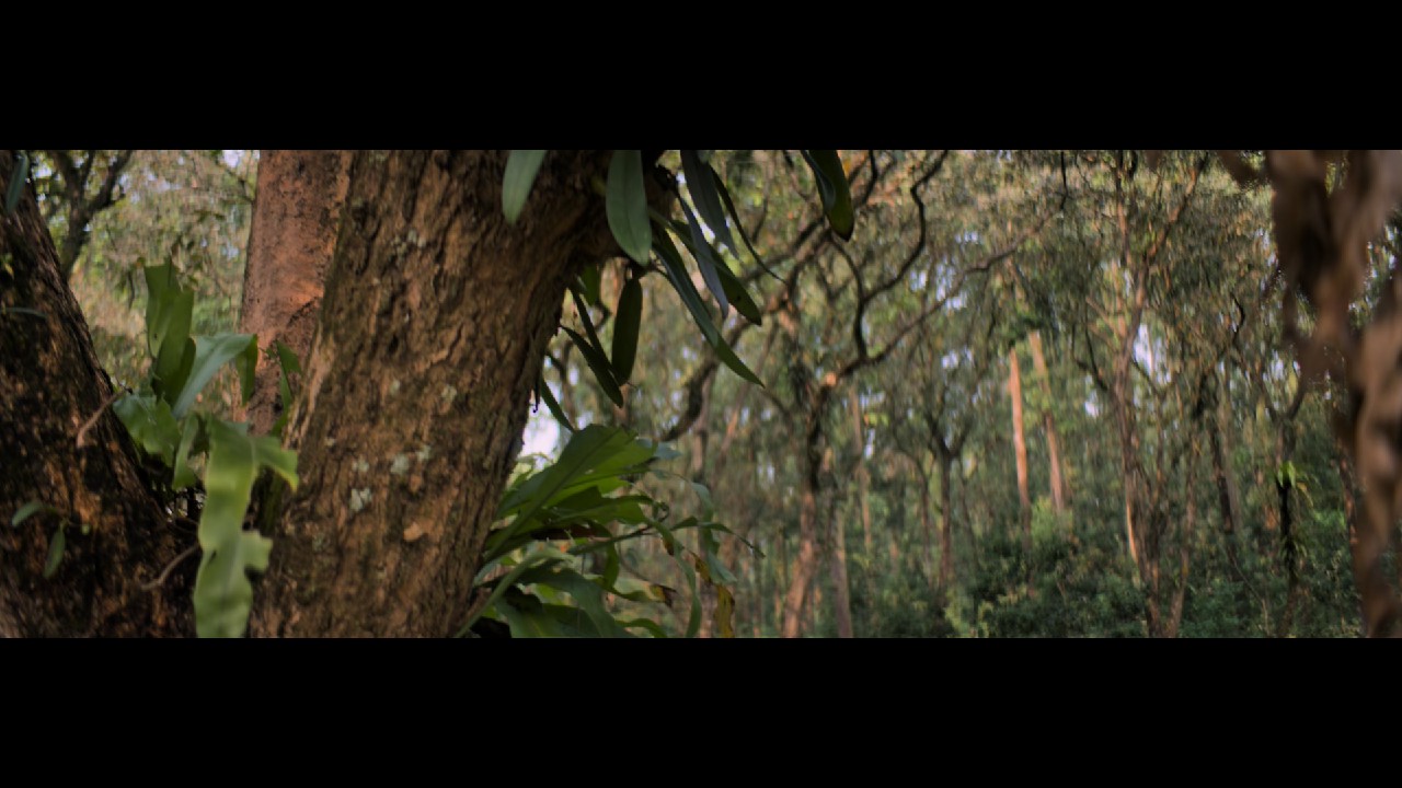 Sherdil-The-Pilibhit-Saga-2022-NF-WEB-DL-Hindi-1080p-10bit-HEVC-DDP-5-1-MSub-mkv-0001