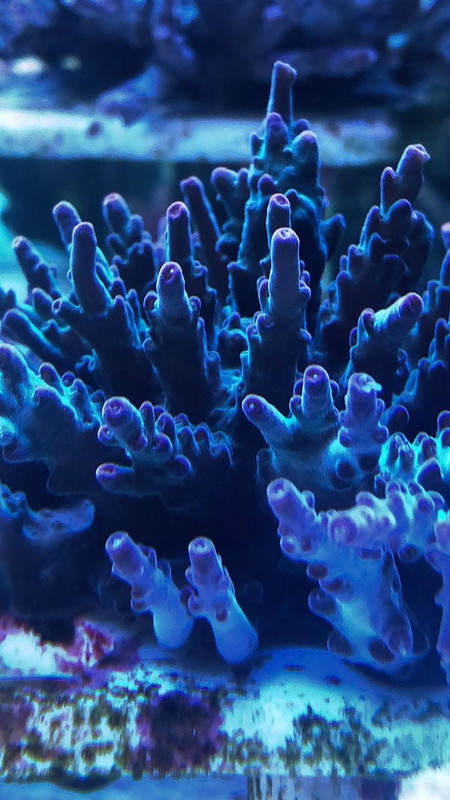 9710F59E-1660-4583-BE6B-BB83AB4E7206