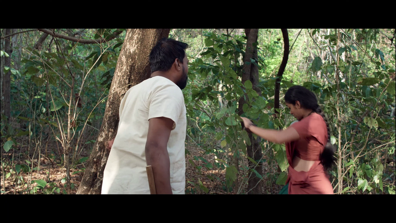 vlcsnap 2025 11 02 13h53m16s797