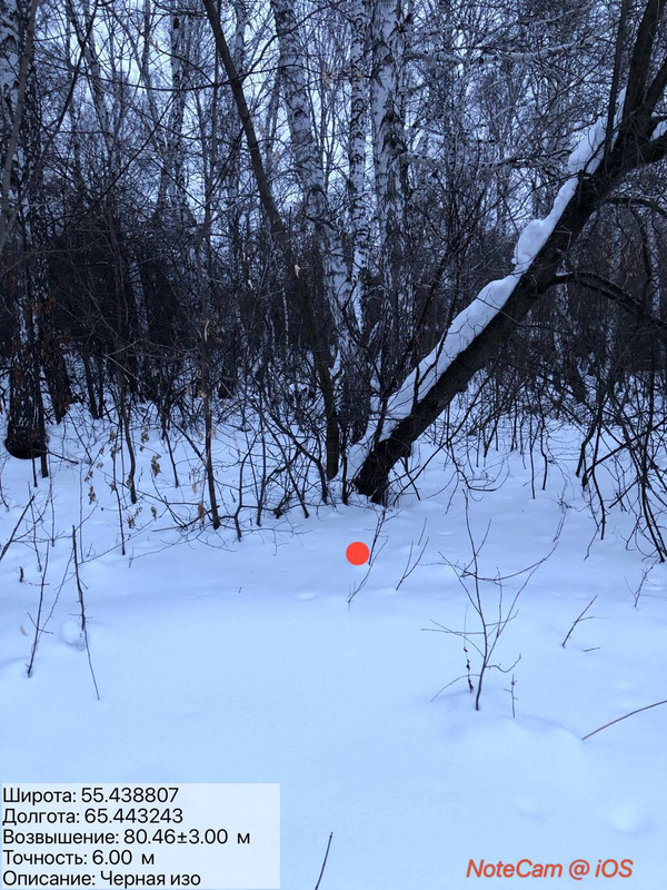 photo 13 2026 02 09 09 45 48