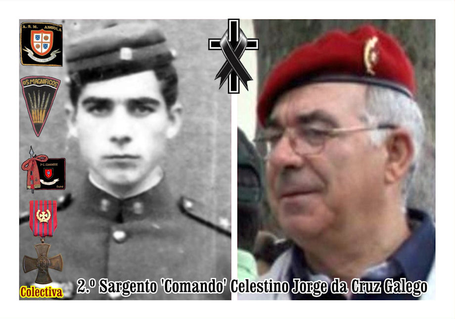 Celestino-Jorge-da-Cruz-Galego-920
