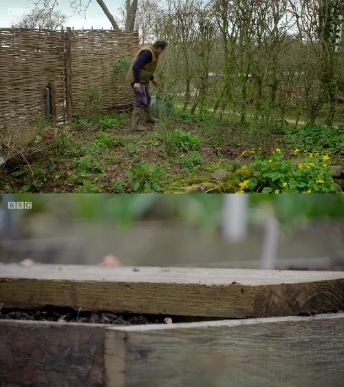 Gardeners' World 2019 E03