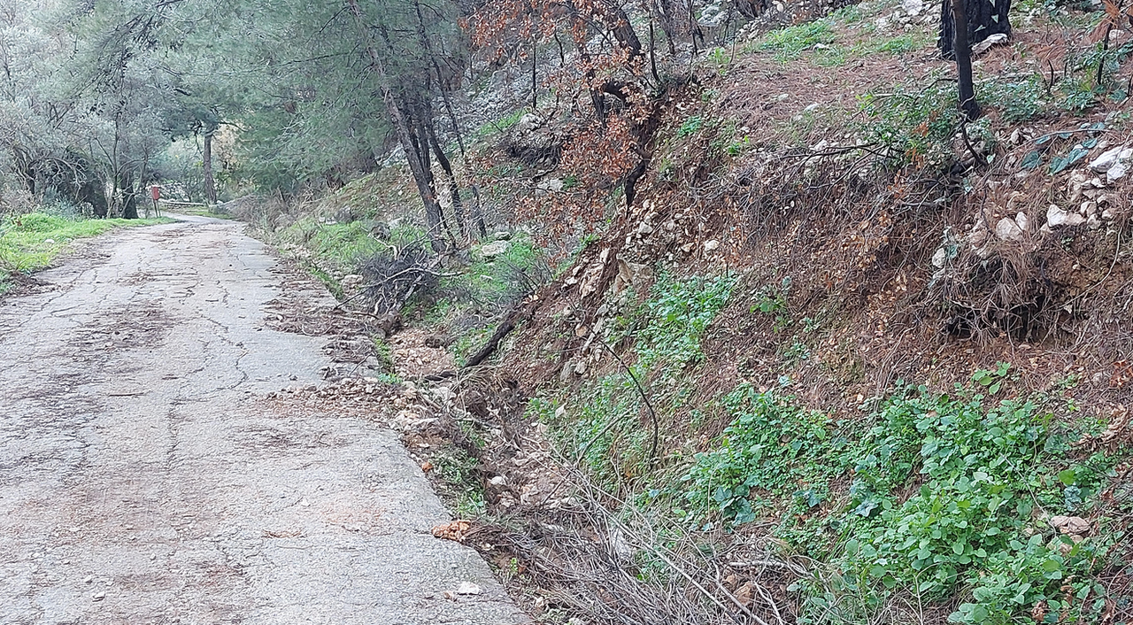 ΖΗΤΟΥΝ ΑΜΕΣΟ ΚΑΘΑΡΙΣΜΟ