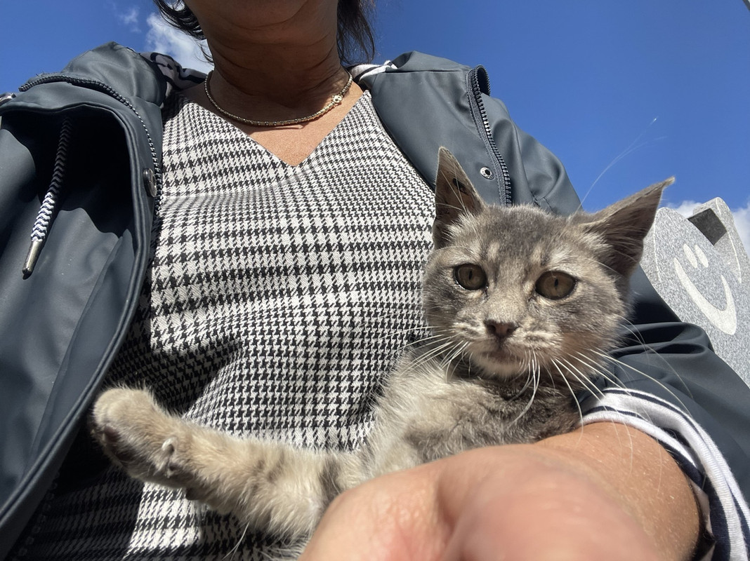 IMG-fdfab8e5308e708497428443dfeb5259-V