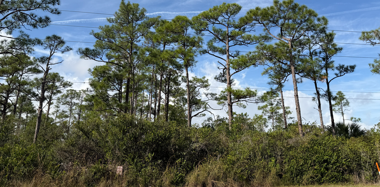 [Image: Jupiter2-Jone4.png]