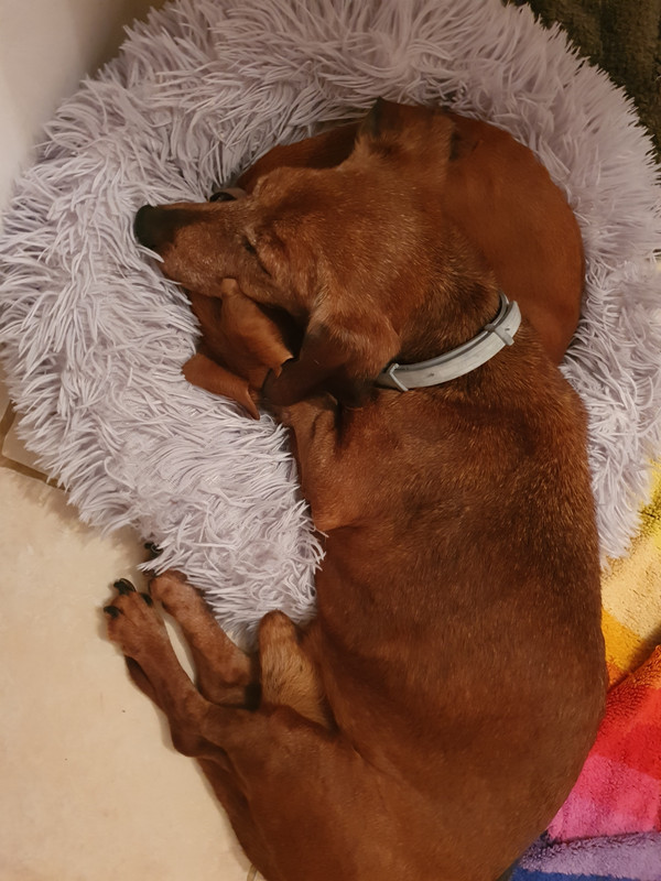 [Image: 20220618-105508.jpg]