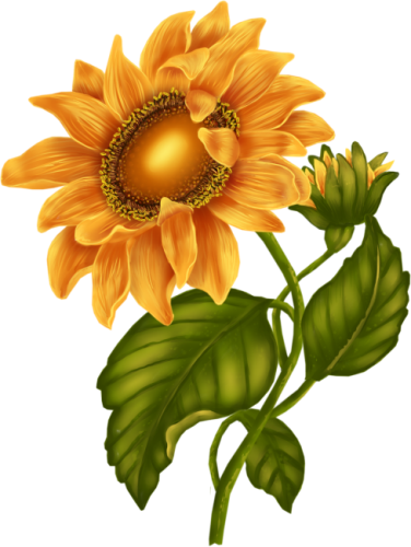 Kit_Just_Bee_In_ME (83)
