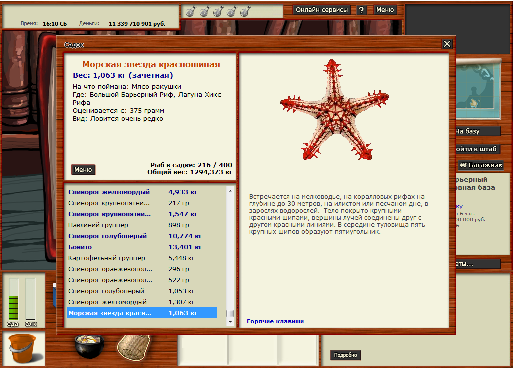 Красношипая звезда