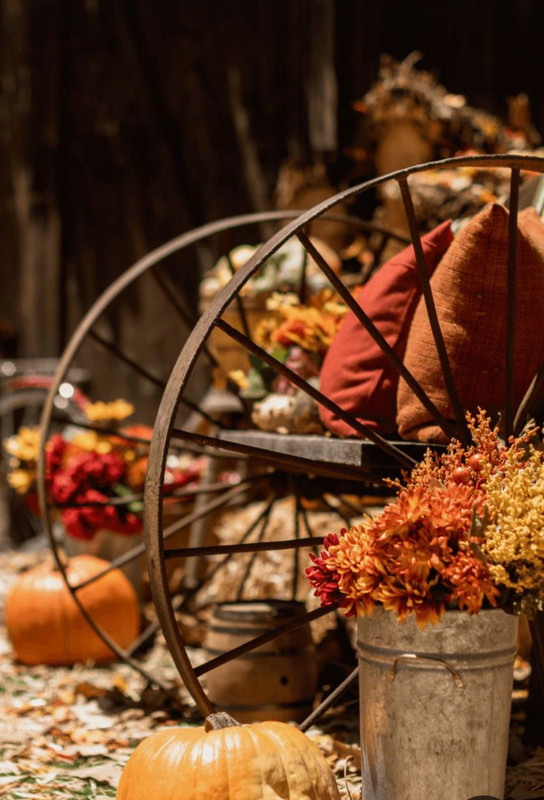 Screenshot_20231115_212106_Pinterest