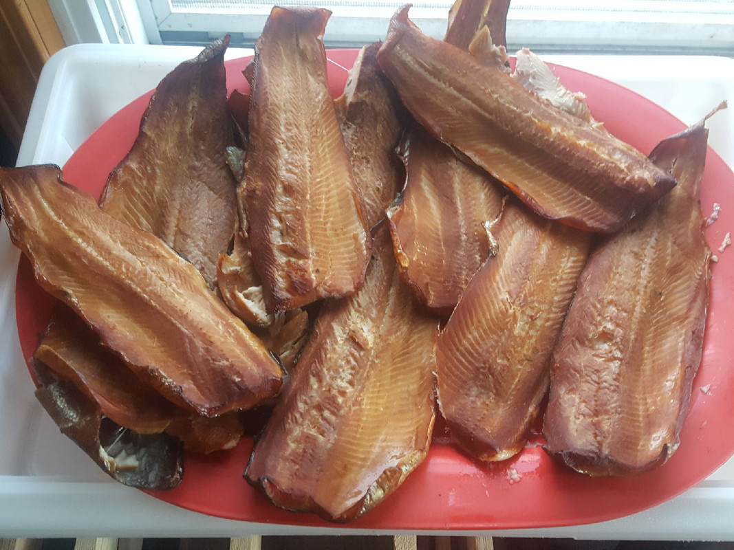 Resized_20190415_190552