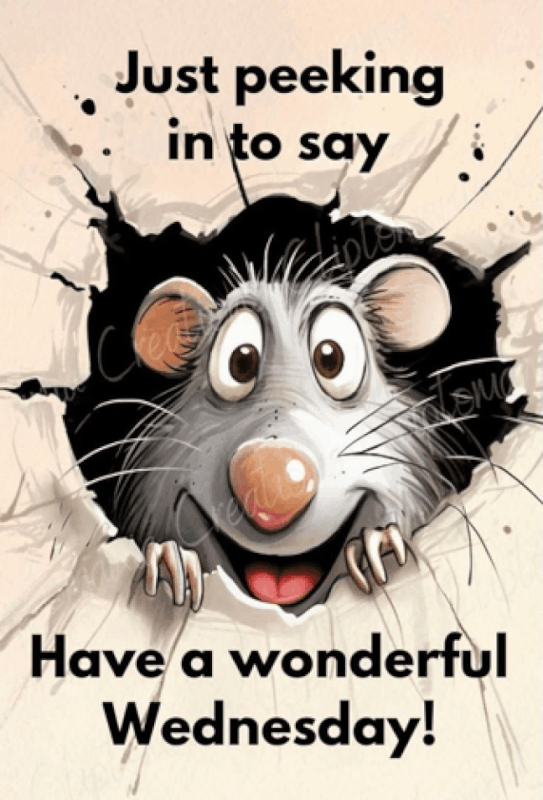 An den Beitrag angehängtes Bild: https://i.postimg.cc/fRBkkkX6/oie-19813543z-N1Xx8G.gif