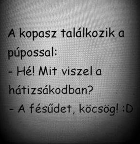 https://i.postimg.cc/fRBn5Jnk/a-kopasz-talalkozik.jpg