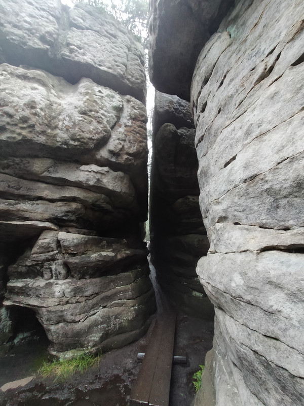 029 - IMG20210805143712