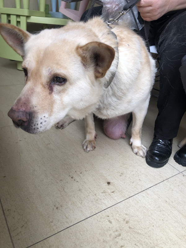 CCCCD2C3-4018-4FC5-A325-D8D482D9DD3C