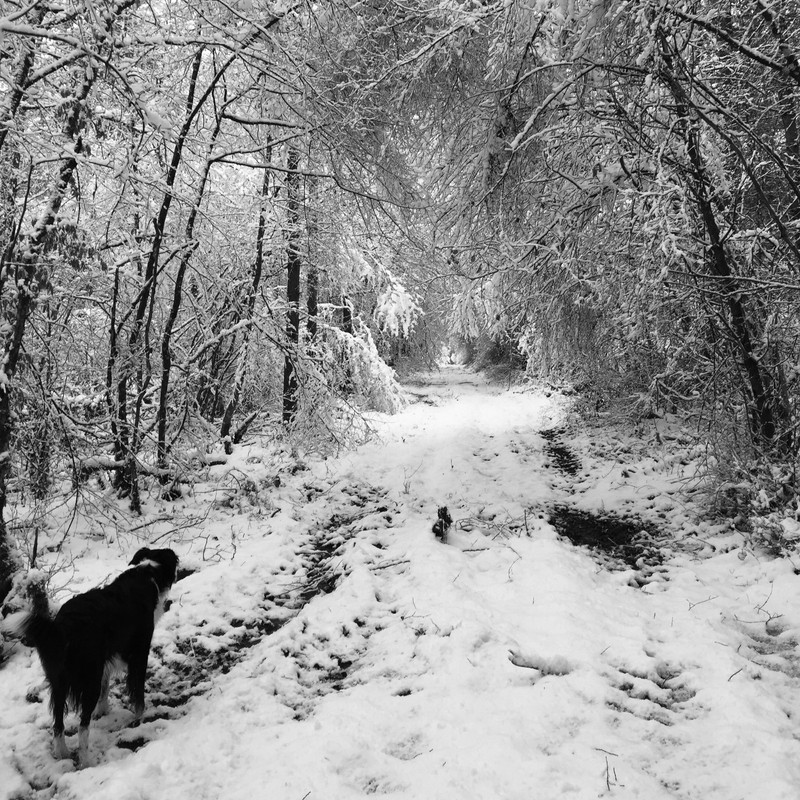 60303913-00EC-4836-8277-E4488375A926