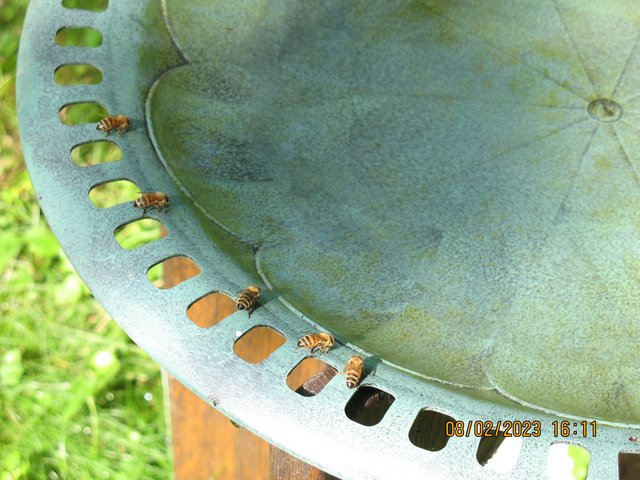 IMG-6238.jpg