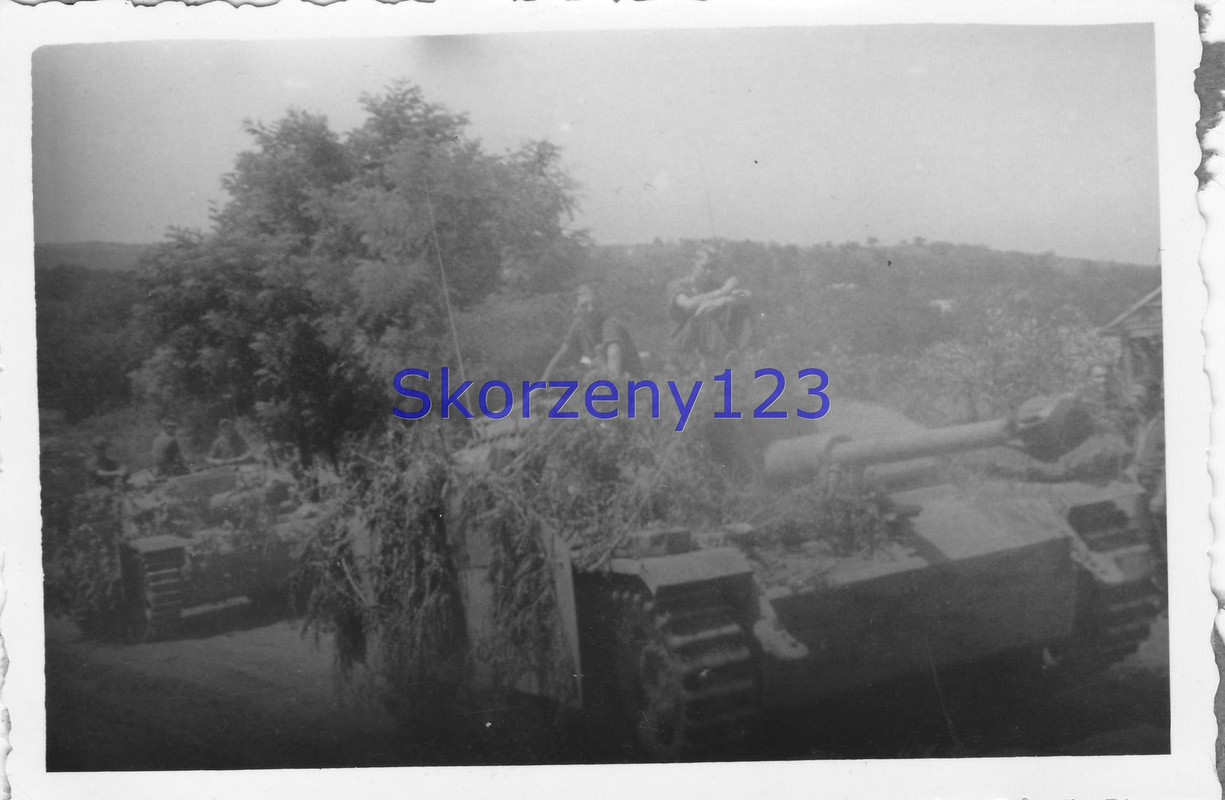 Sturmgeschütz Langrohr   Seitenschürze in Cuza V