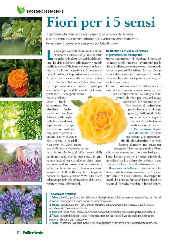 Pol Ver Mag 2024 (3)