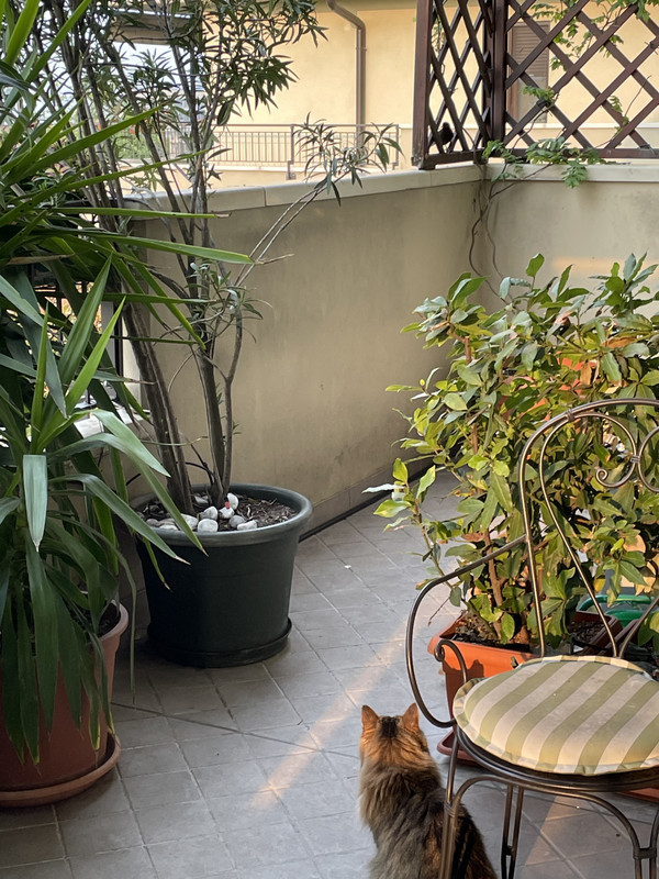 6F3A78F1-DB23-4285-BB70-6FAF1E5FA4C7