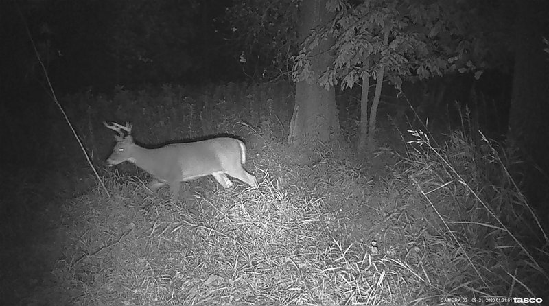 57E36A6E-575D-417E-BAE1-AA7CE21A68C6