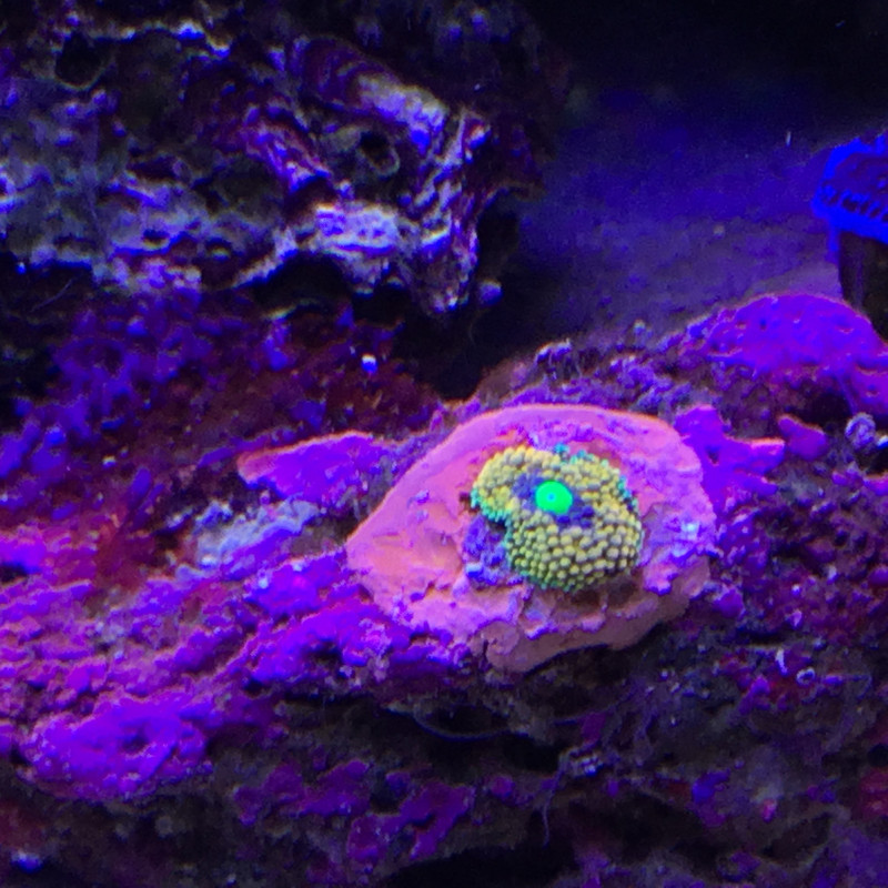 FB765575-8F56-4287-B740-B26EF940AB95