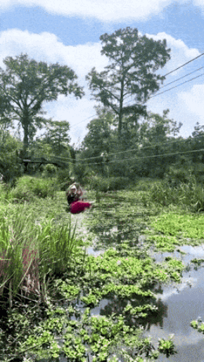 95.gif
