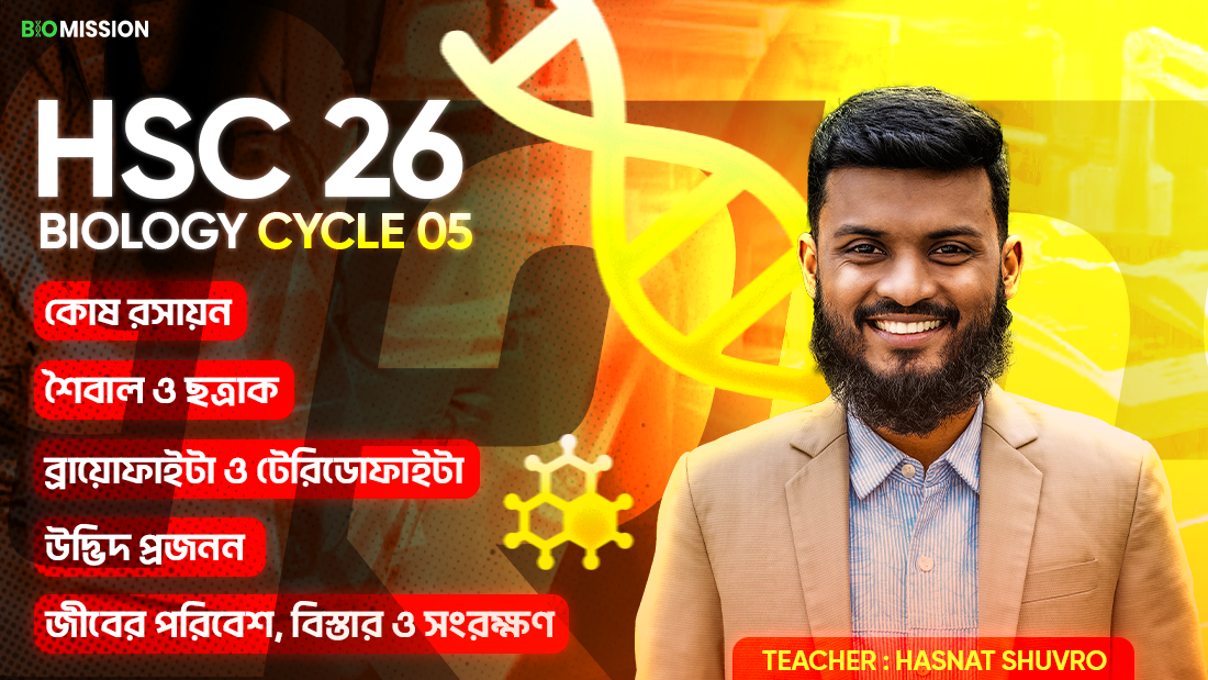 Cycle 5