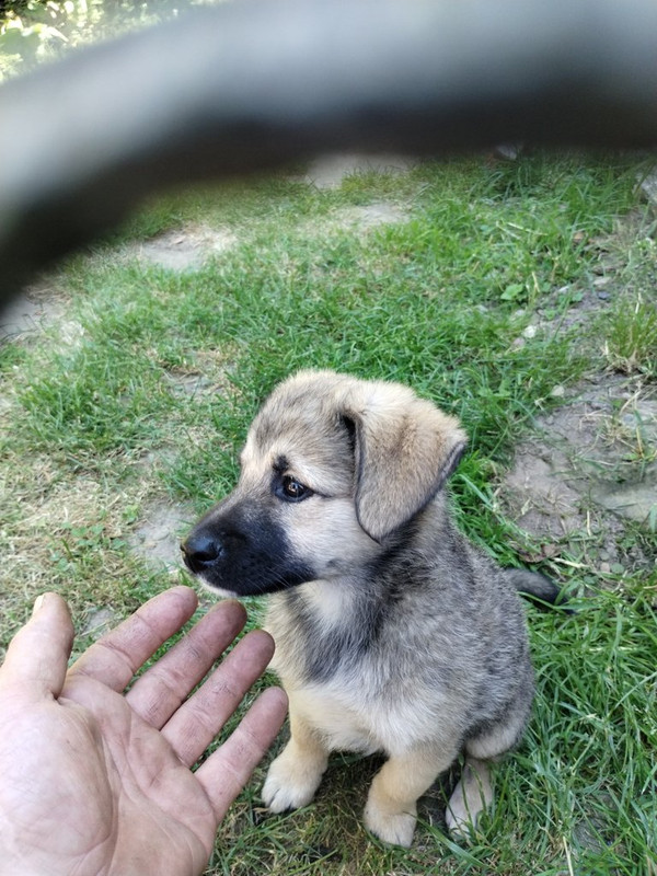 f3eec3cc-f3ab-4afc-86d4-a32aa179e47d